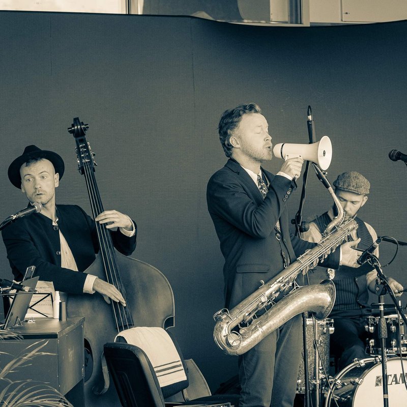 The Schwings Band